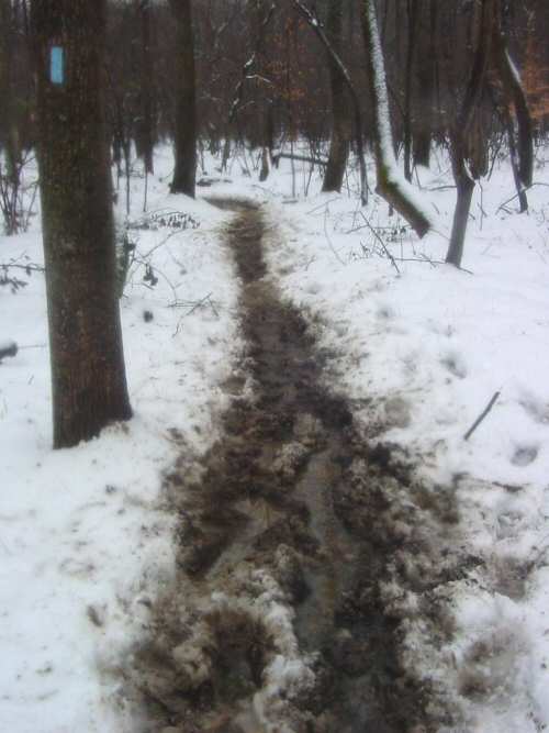 The trail with mud and snow