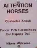 Horses can read?