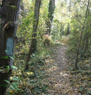 The Potomac Heritage Trail