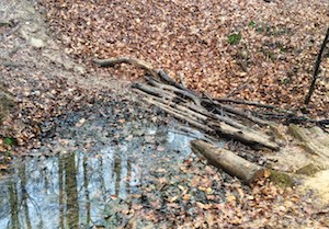 The old way across the trail