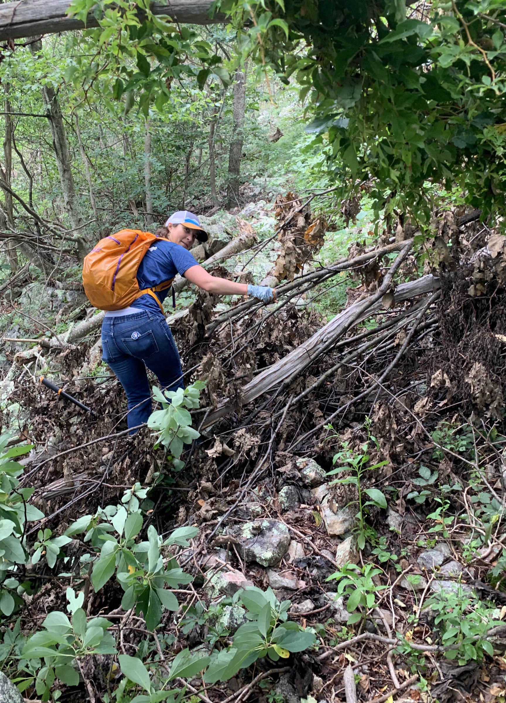 Sheila Vibert cleans up a downed tree on Short Mountain