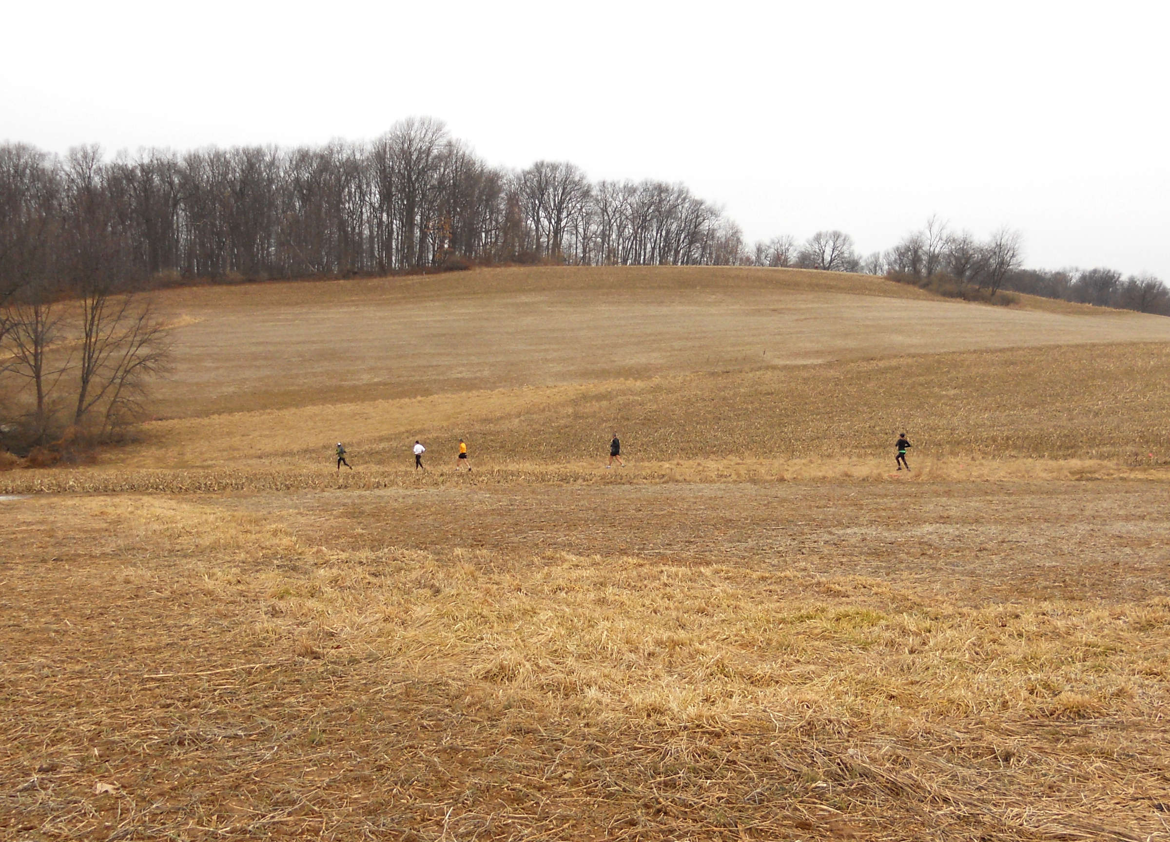 Runners in the field