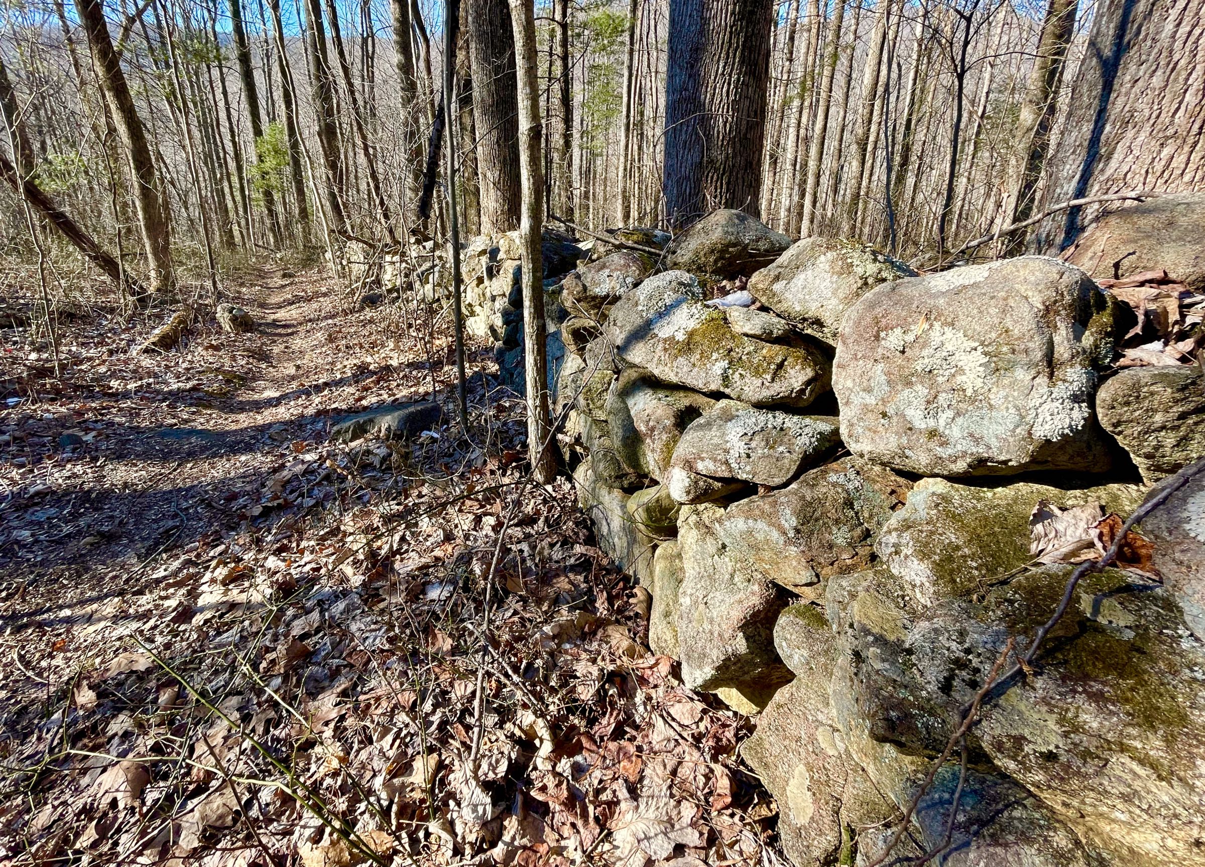 Stone walls along the bottom of the Hot Short Mountain Trail