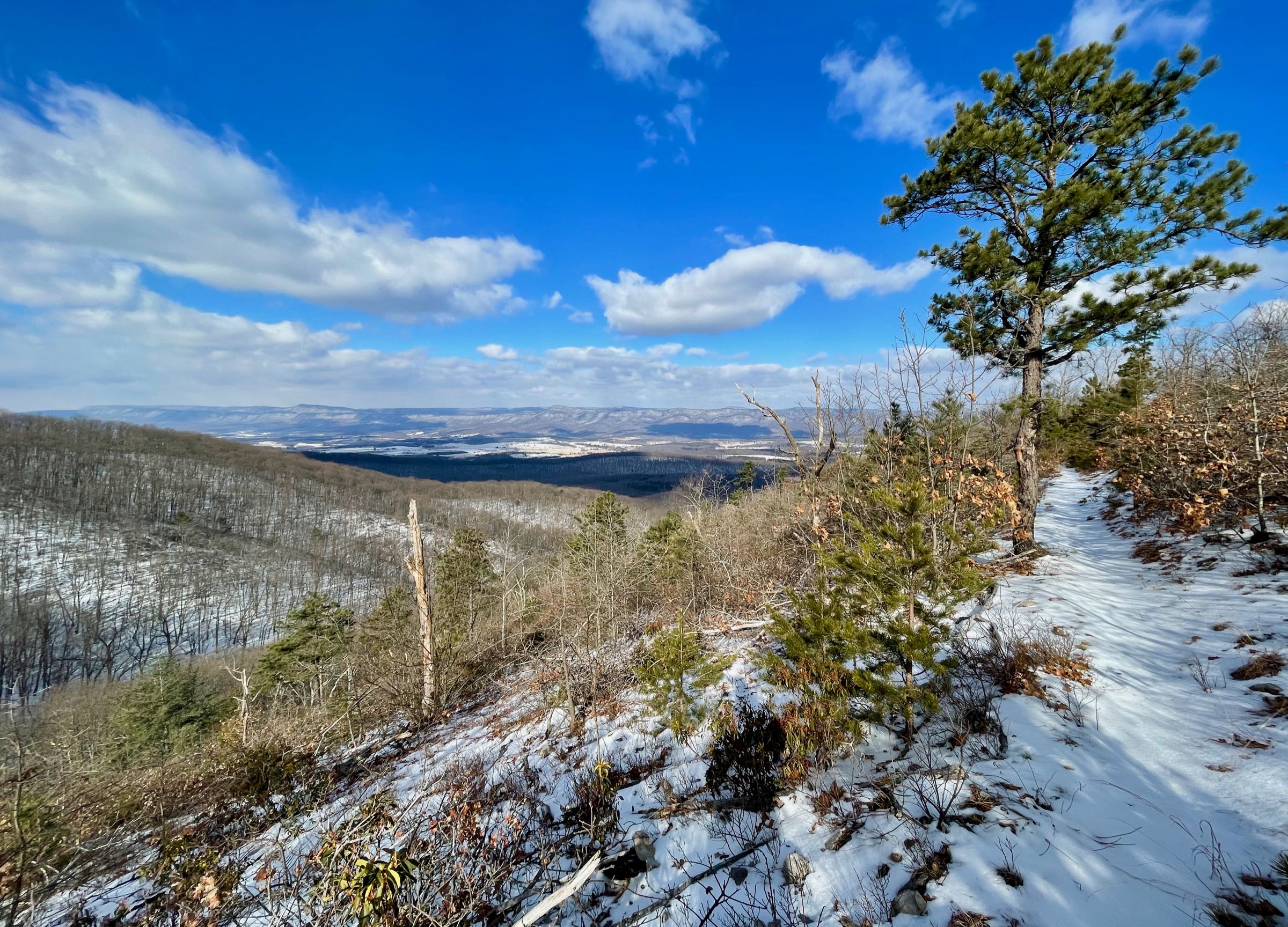 View from Neighbor Mountain Trail